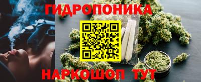молекула духа Гагарин