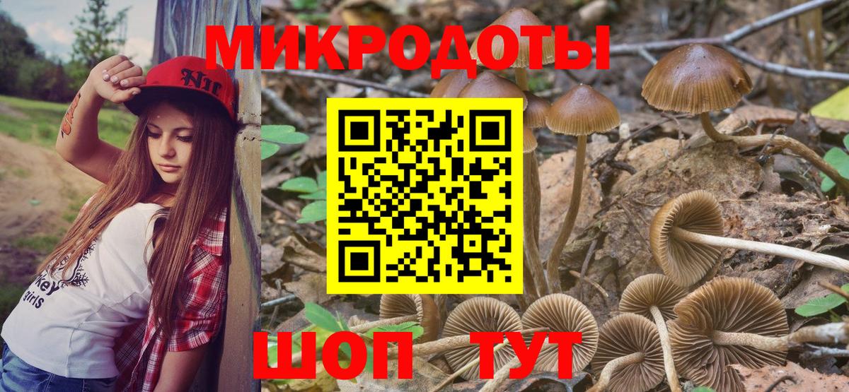 Галлюциногенные грибы MAGIC MUSHROOMS  Вход с VPN  Черняховск  Галлюциногенные грибы MAGIC MUSHROOMS 