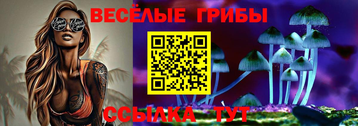 Галлюциногенные грибы Cubensis Черняховск