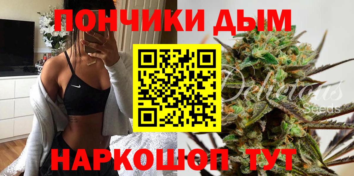 Конопля гибрид Черняховск